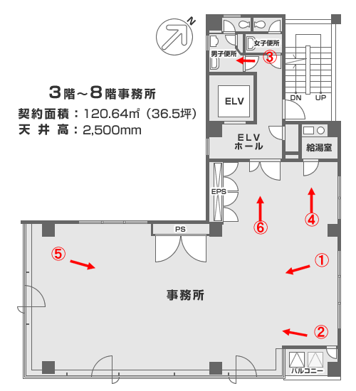 平面図