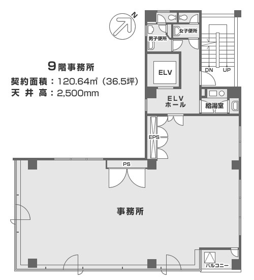 平面図